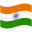 IN flag